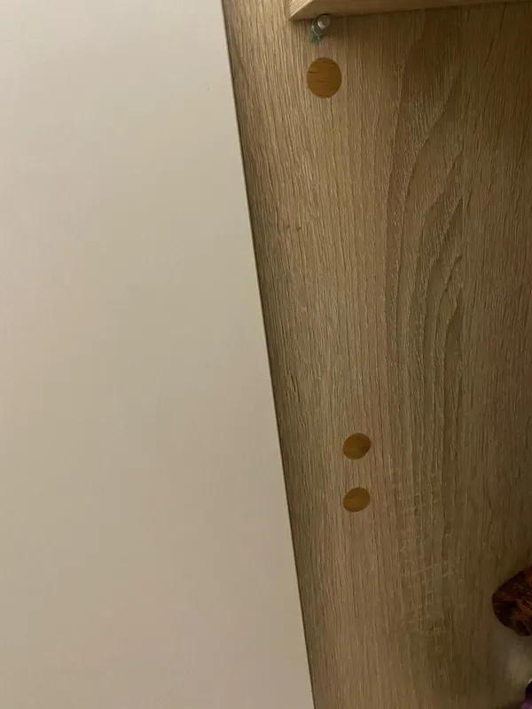 Заглушка для саморезов Клён медовый