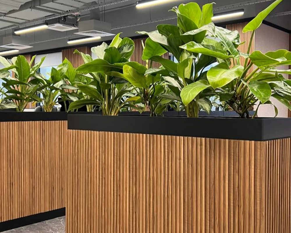 Панель МДФ ACUPAN 61.08.122501.92 трапеция 12х122х2760 мм Орех светлый